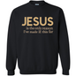 Jesus Is The Reason Premium Sweatshirt