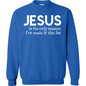 Jesus Is The Reason Premium Sweatshirt